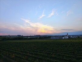 Horitschon