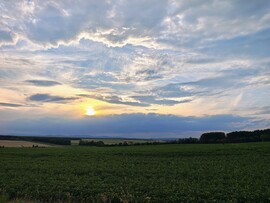 Großwarasdorf