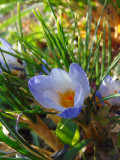 gerencserimre fotója