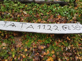 gergely20 fotója