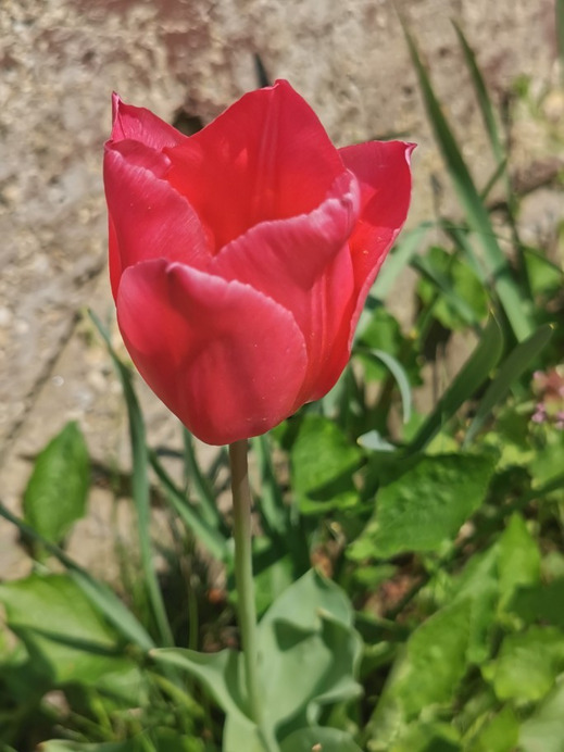 Nádudvar