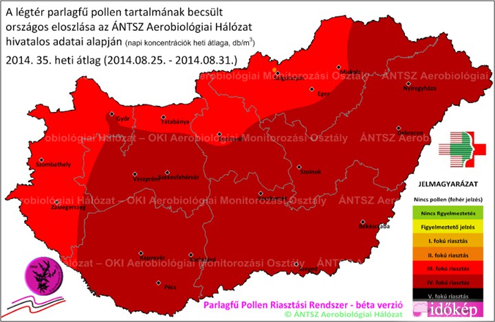 pollen