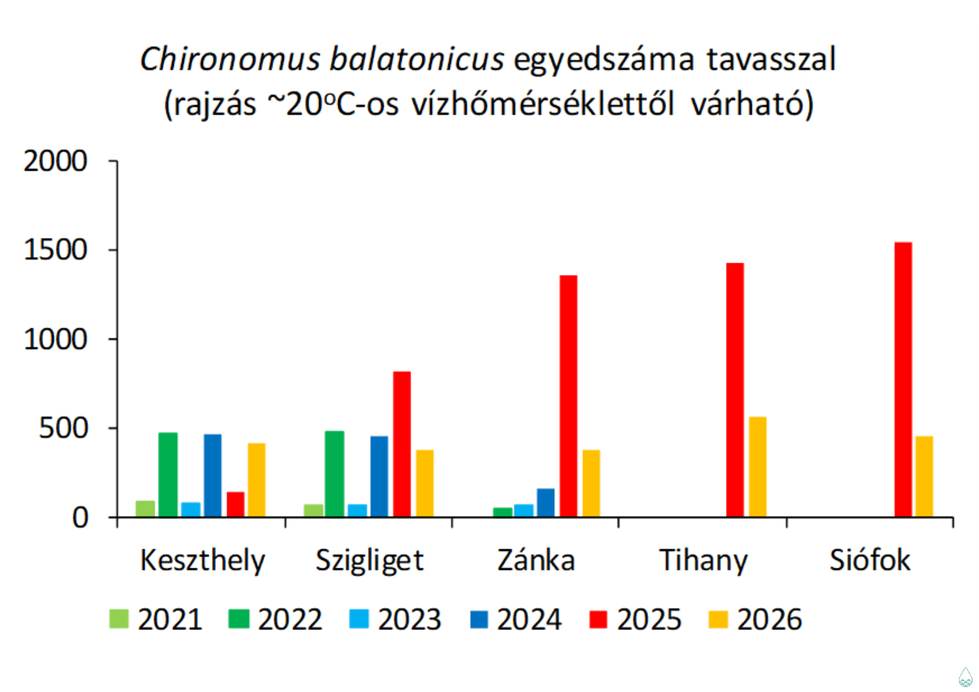 Kevesebb árvaszúnyog lesz idén a Balatonnál