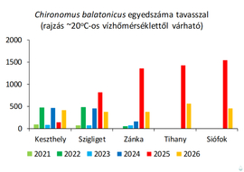 Kevesebb árvaszúnyog lesz idén a Balatonnál