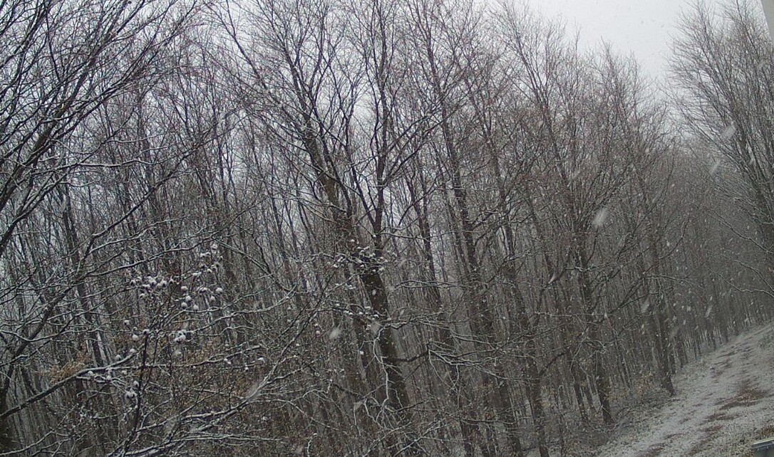 Kis-Kőháton is szépen havazott