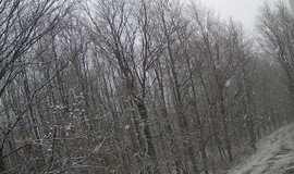 Kis-Kőháton is szépen havazott