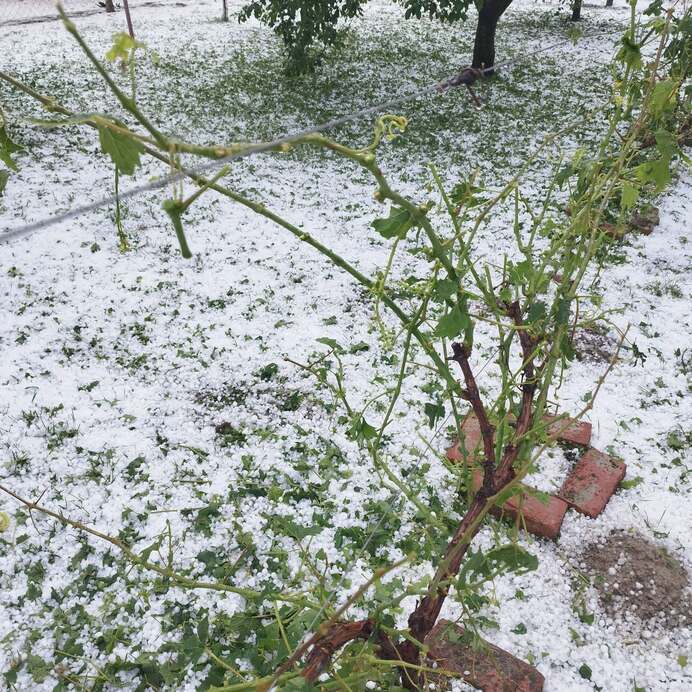 Jégverés után Pörbölyön