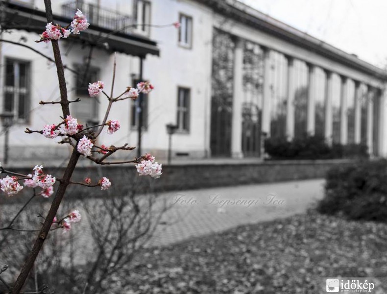 Lepsényi Ica és Gyuri fotója
