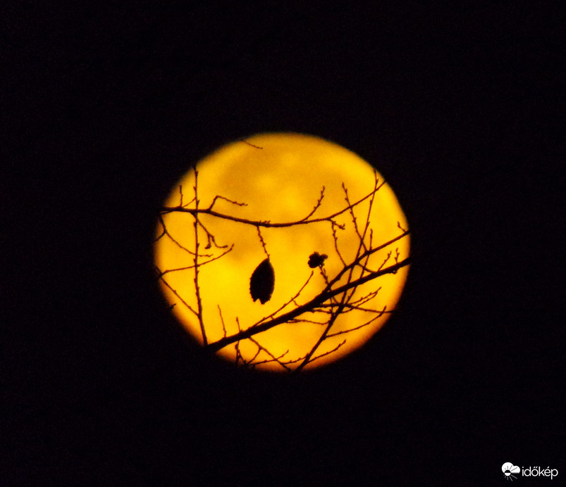 Novemberi Hód szuperhold