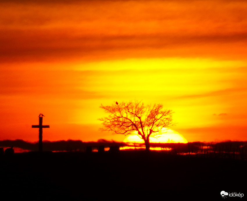 Ezt hozta a Mikulás! 