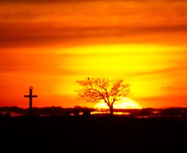 Ezt hozta a Mikulás! 