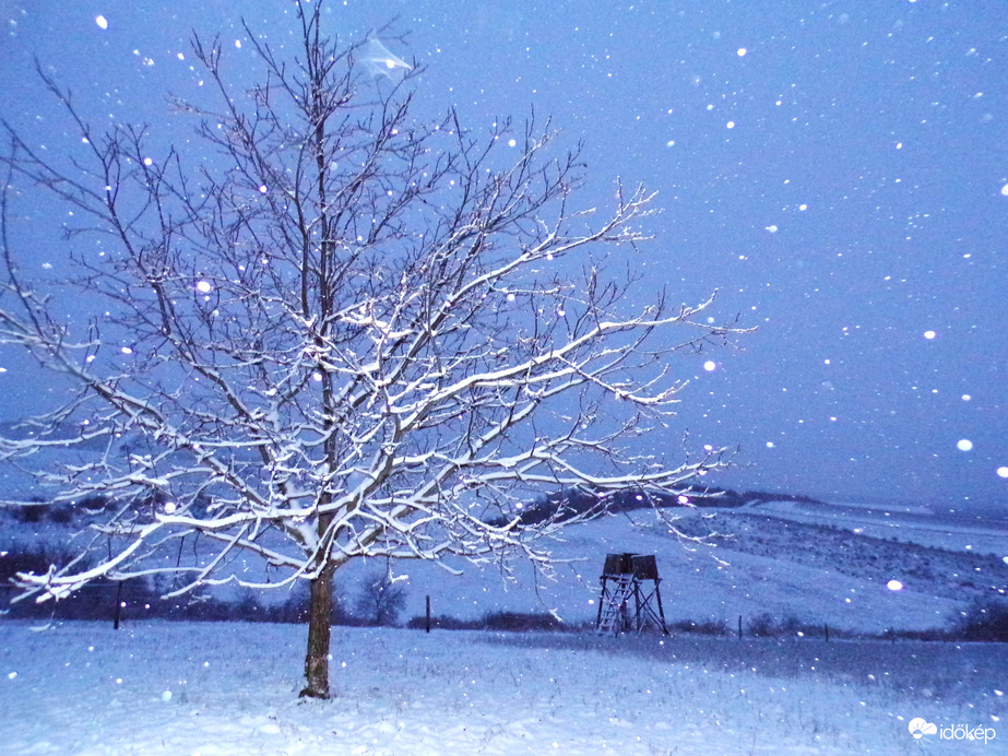 Hószállingózás a kék órában
