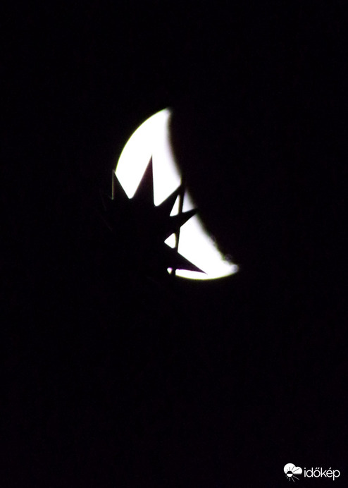 Hajnali találkozás :)