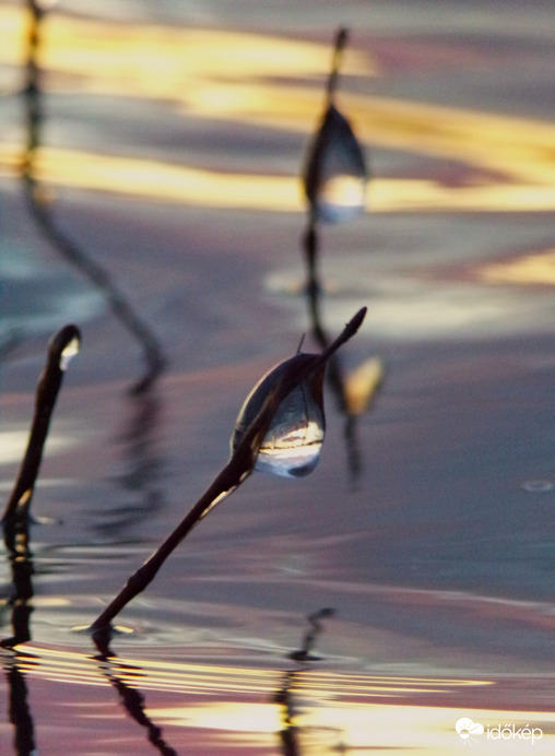 Kezdődő jegesedés a tavon 2.