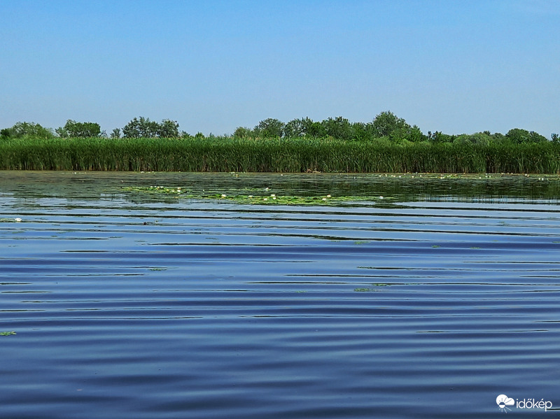 Tisza-tó
