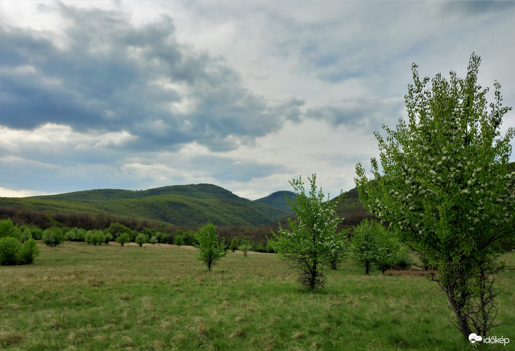 Perpác