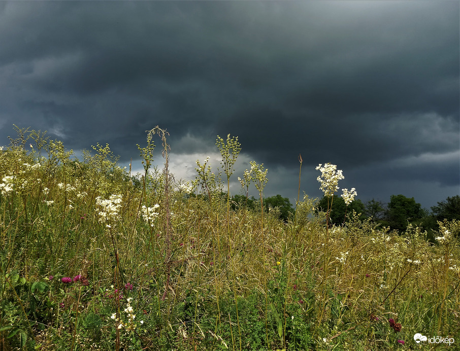 Aztán hirtelen jött egy sötét felhő