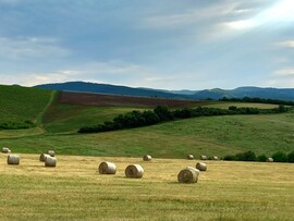 Tiszacsege