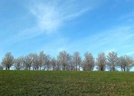 Noszvaj