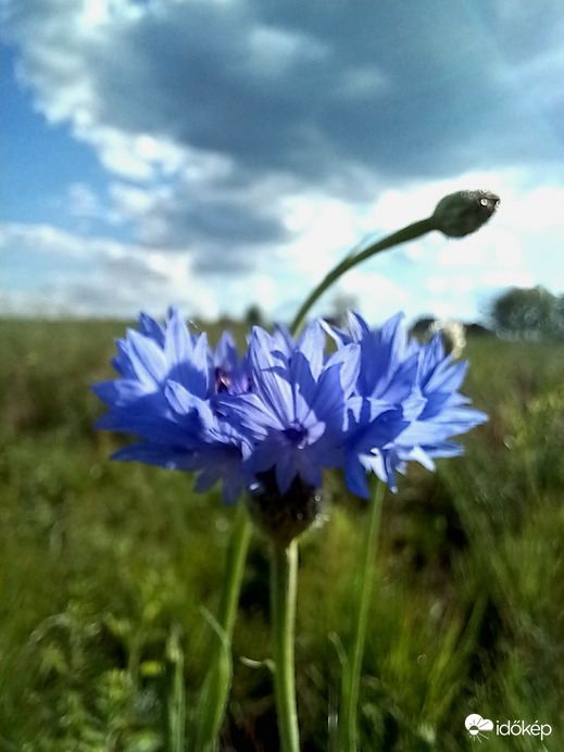 Noszvaj
