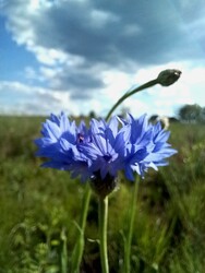 Noszvaj