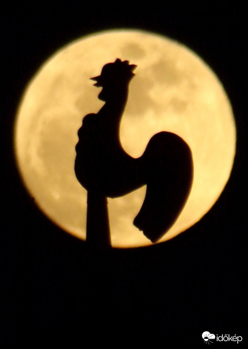 Mai telihold a kakasunkkal :)