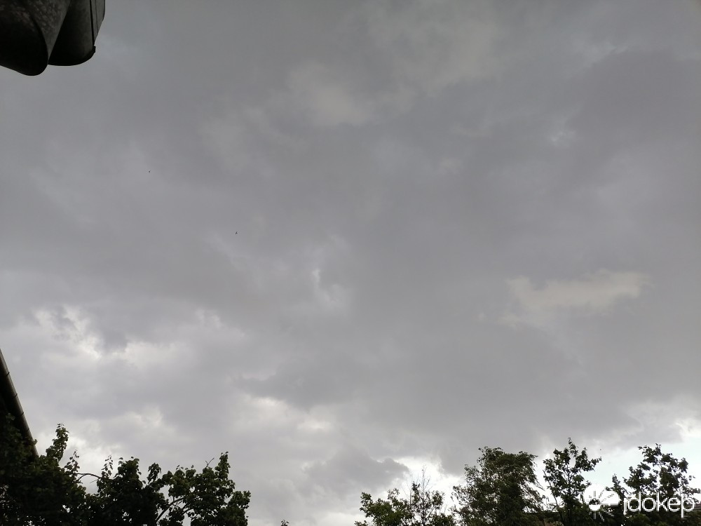 Szabadka