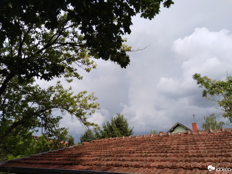 Szabadka