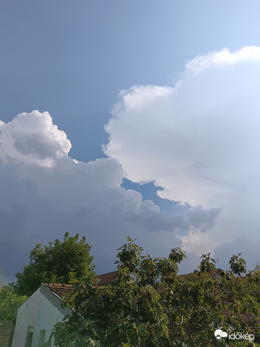 Szabadka