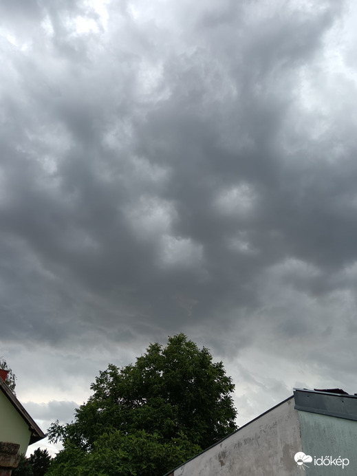 Szabadka