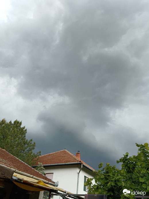 Szabadka
