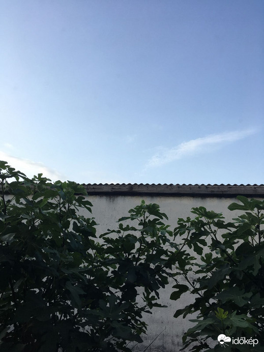 Hódmezővásárhely