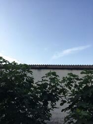 Hódmezővásárhely