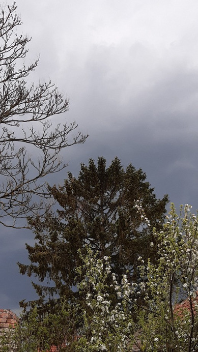 Jászalsószentgyörgy