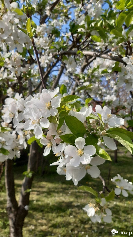 Jászalsószentgyörgy