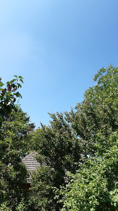 Jászalsószentgyörgy