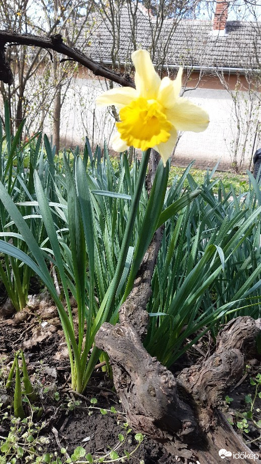 Jászalsószentgyörgy