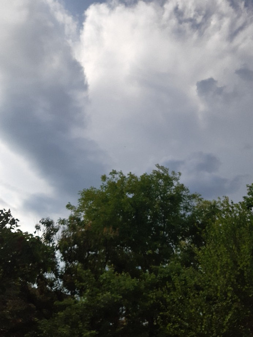 Jászalsószentgyörgy