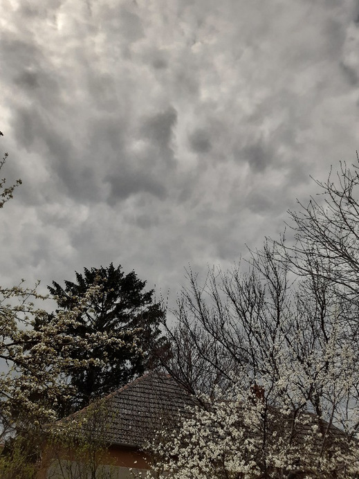 Jászalsószentgyörgy