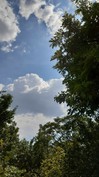 Jászalsószentgyörgy