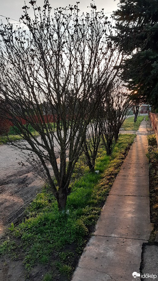 Jászalsószentgyörgy