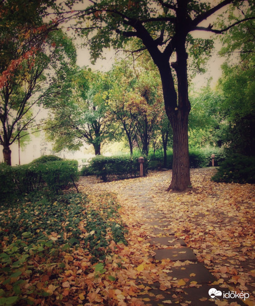 Ősz.... 