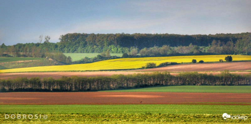Színek, formák, lankák. 