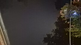 Várpalota