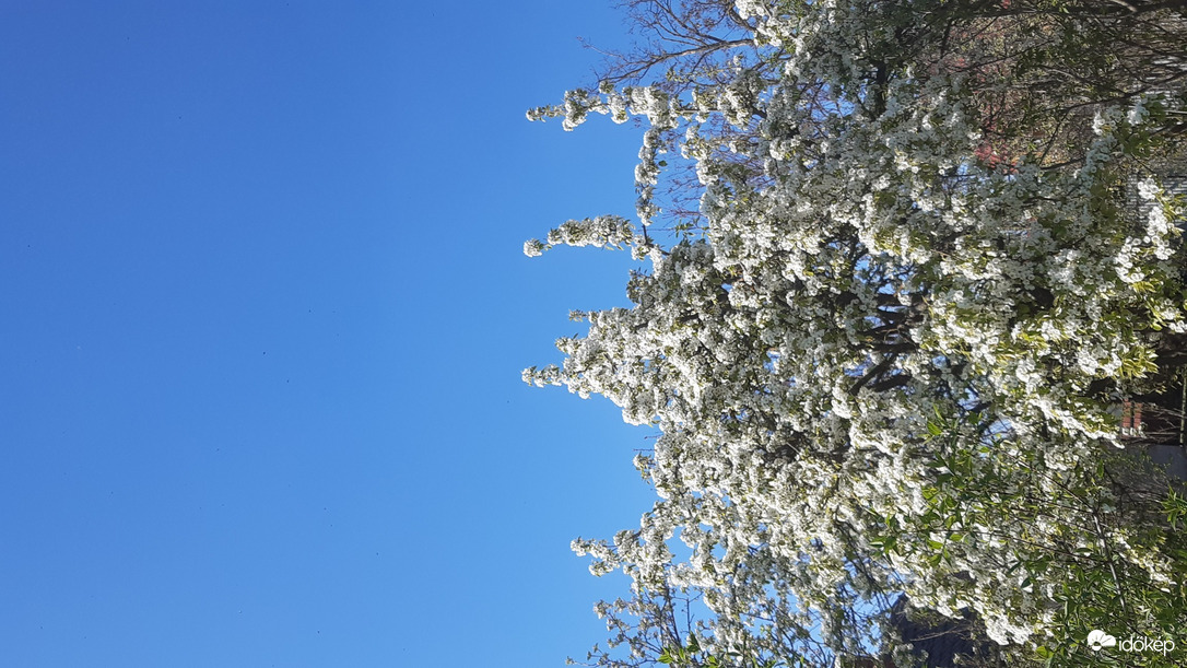 Jászalsószentgyörgy