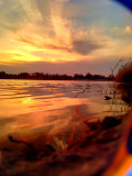 Székesfehérvár - Sóstói hangulat napszemüvegen keresztül 