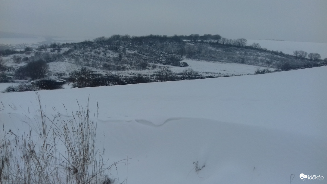 A szürkésfehér egyik árnyalata