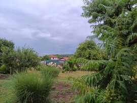 Domony