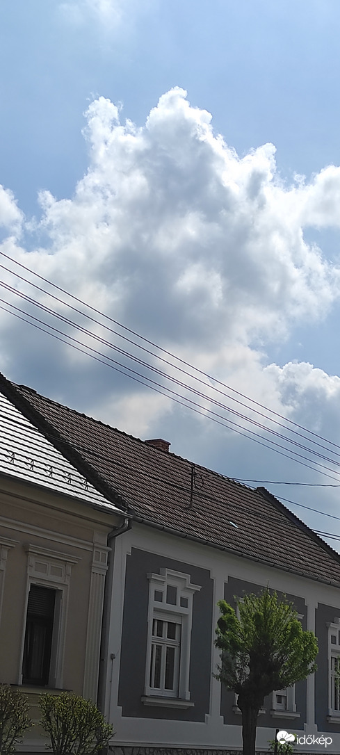 Pápa