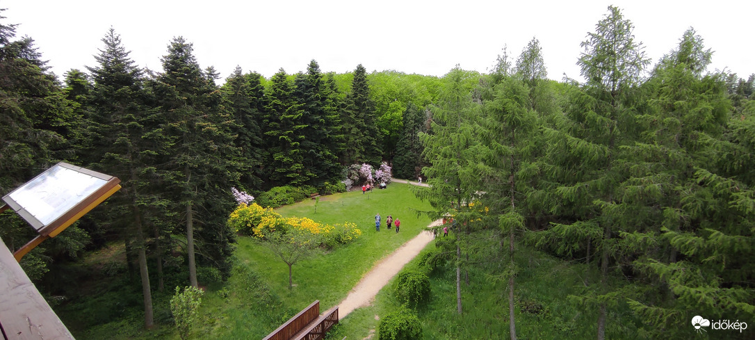 Kám